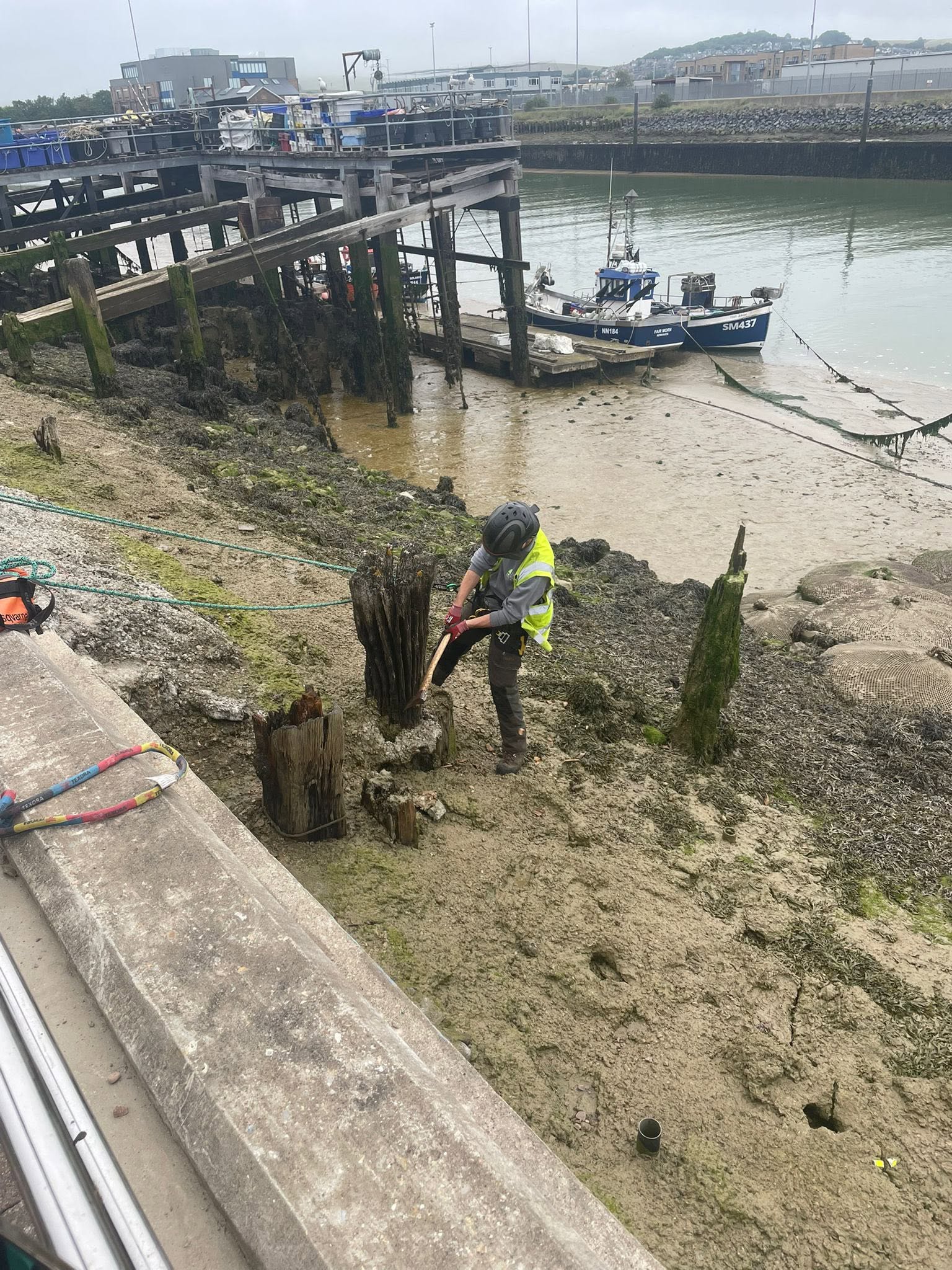 Cutting out an old timber piling on the harbour foreshore at low tide