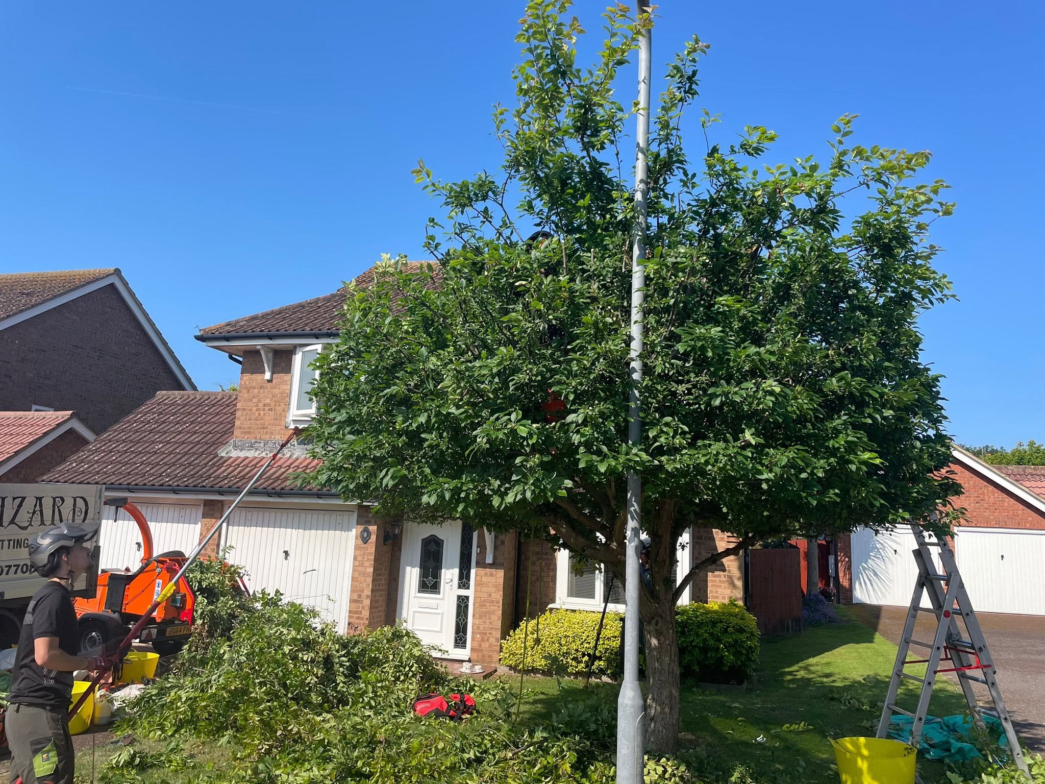 Tree work in front of a brick house with the chipper and ladder set up