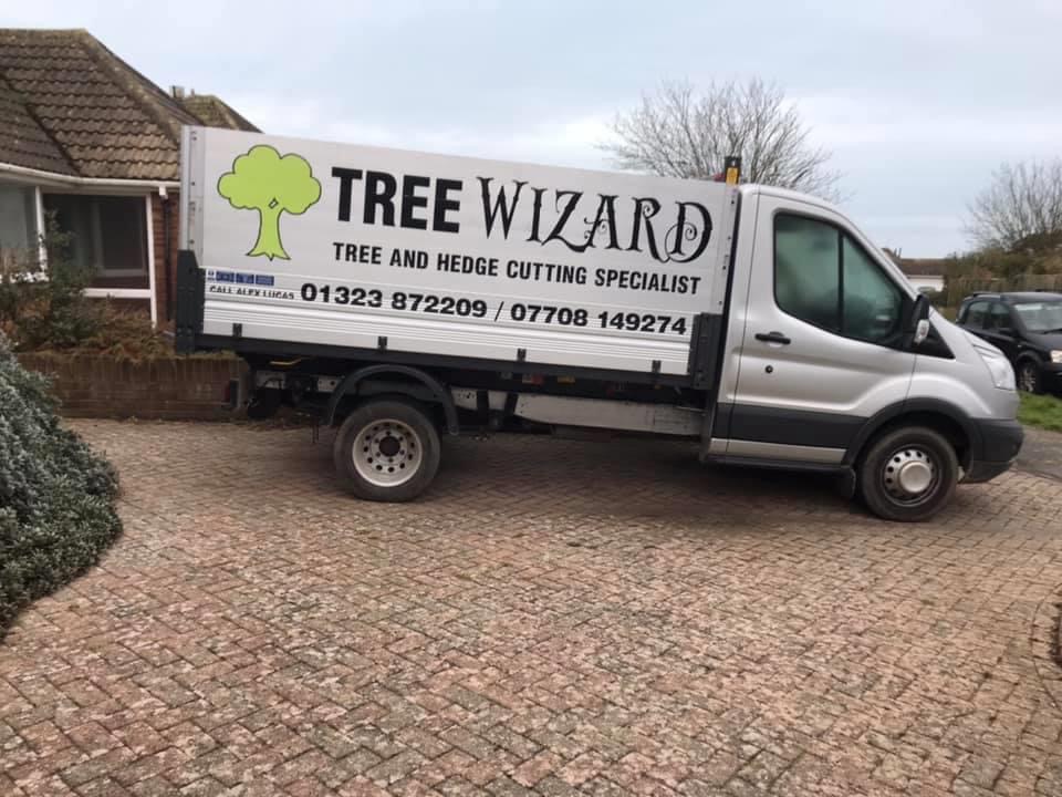The Tree Wizard tipper van with its tree and hedge cutting livery